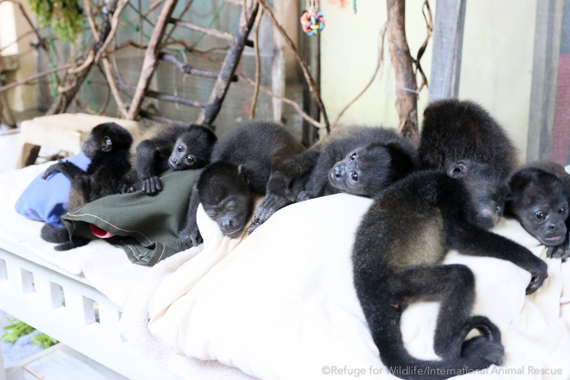 babies-warmth