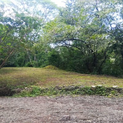 5005c – Lotes Candelitas #2